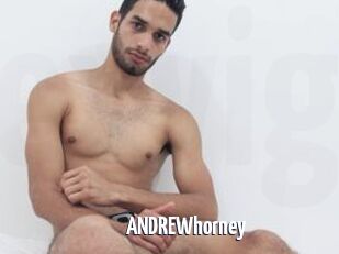 ANDREWhorney