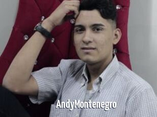 AndyMontenegro