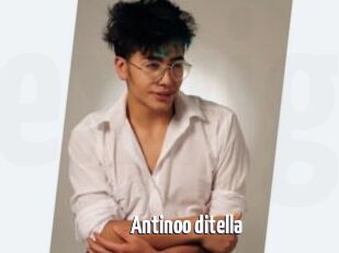 Antinoo_ditella