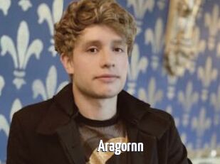 Aragornn