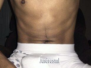 Andresml