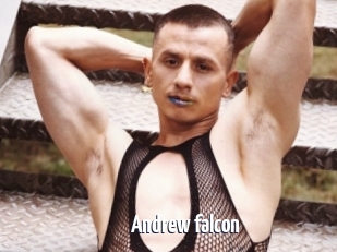 Andrew_falcon