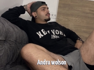 Andru_wolson