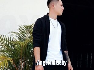 Angelomisaky