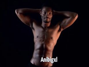 Anibigxl