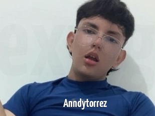 Anndytorrez