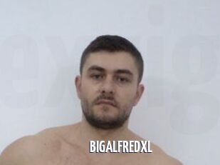BIGALFREDXL