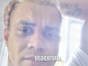 BIGDICKFORU4