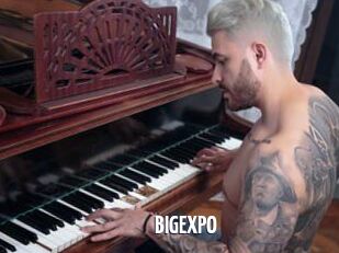 BIGEXPO