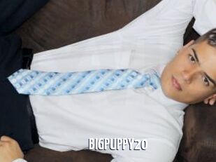 BIGPUPPY20