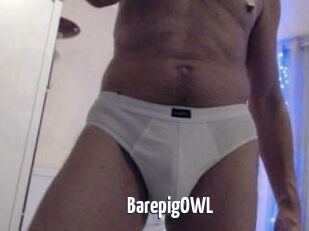 BarepigOWL
