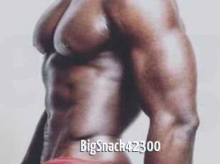BigSnack42300