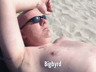 Bigbyrd