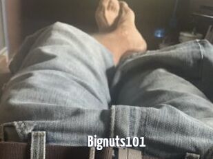 Bignuts101