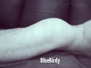 BlueBirdy