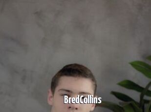 BredCollins