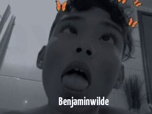 Benjaminwilde