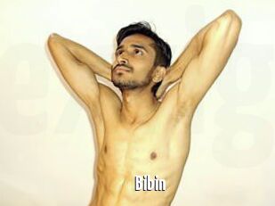 Bibin