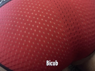 Bicub
