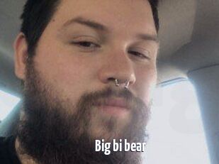 Big_bi_bear