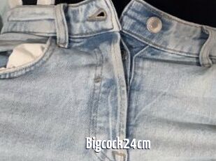Bigcock24cm