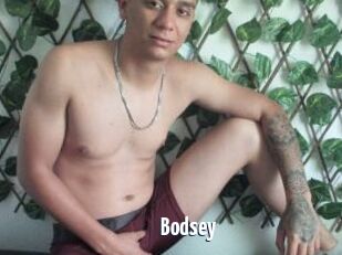 Bodsey