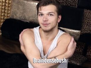 Braindensebush