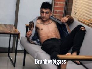 Brunhosbigass