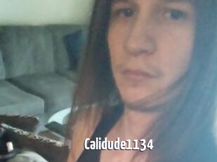 Calidude1134