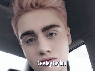 CeeJayTaylorr