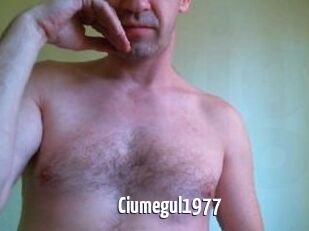 Ciumegul1977