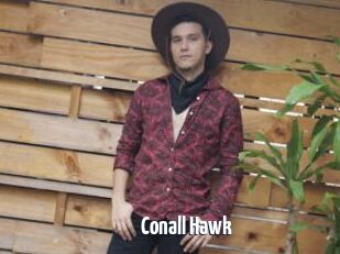 Conall_Hawk