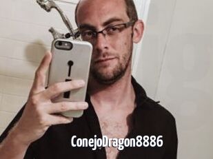 ConejoDragon8886