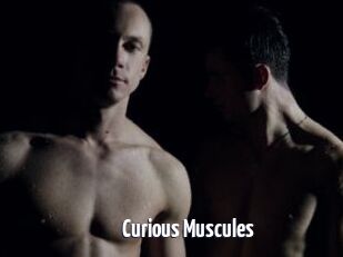 Curious_Muscules