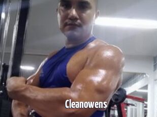 Cleanowens