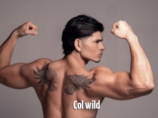 col_wild Extraits Videos Gays