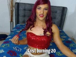 Crist_burning_20
