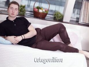 Cutegevrilforu