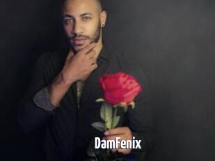 DamFenix