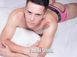 Daniel_Schmid