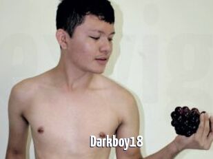 Darkboy18
