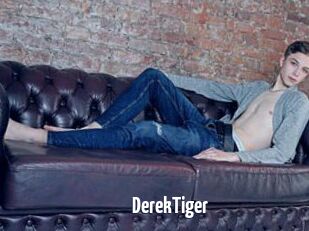 DerekTiger