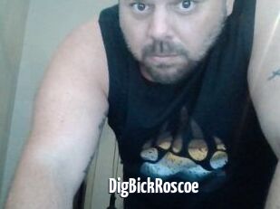 DigBickRoscoe