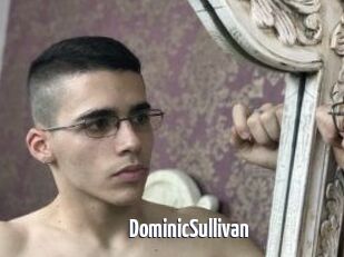 DominicSullivan