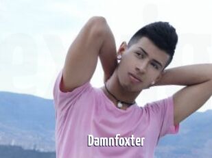 Damnfoxter