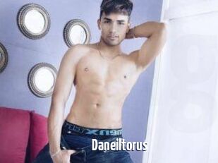 Daneil_torus
