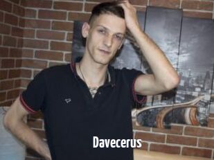 Davecerus