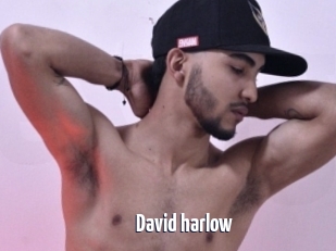 David_harlow