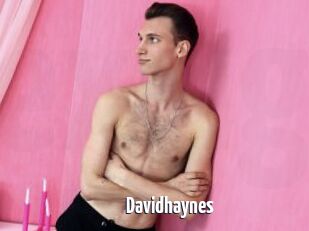 Davidhaynes