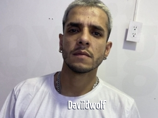 Daviidwolf